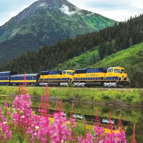 The Alaska Railroad
