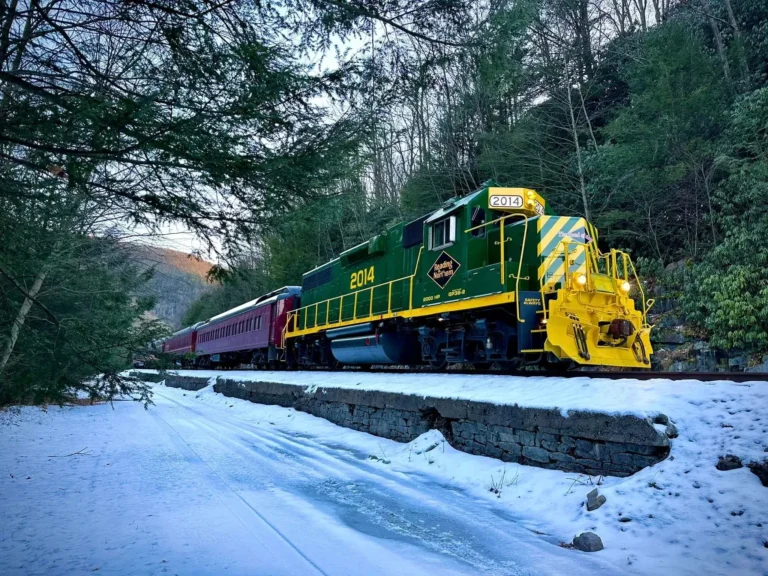 Lehigh Gorge Scenic Railway 768x576