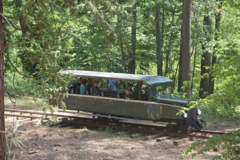 NCNGRR Railbus 768x512