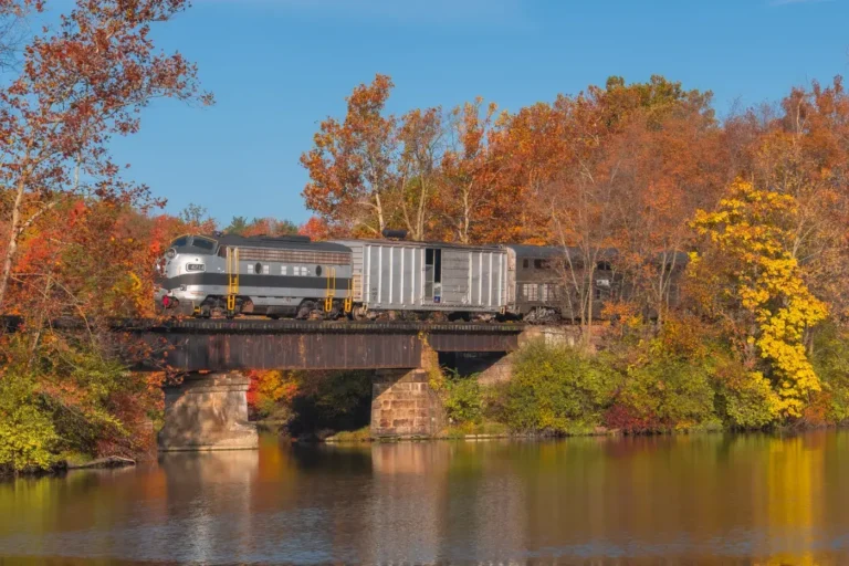 Nickel Plate Express 768x512