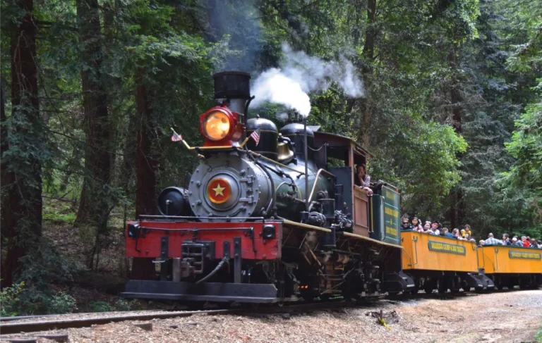 roaring camp rr 768x487