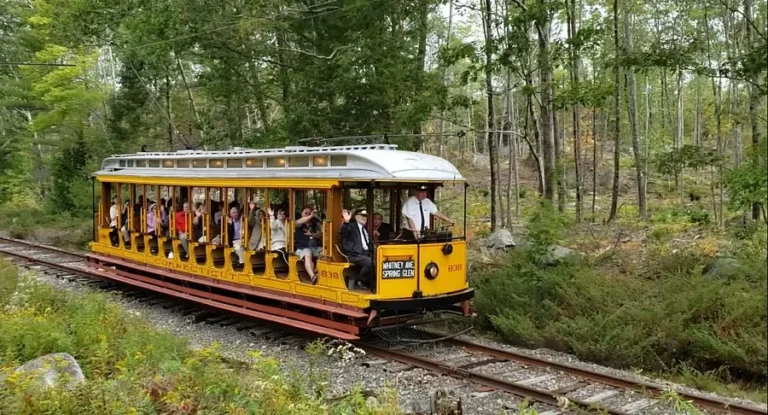 seashore trolley 768x415