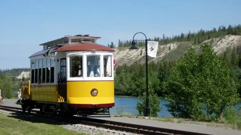 WHWFTrolley 768x432
