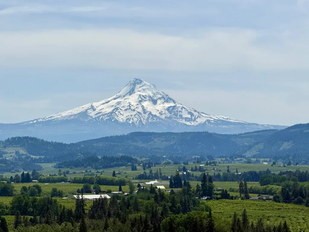 Mt. Hood