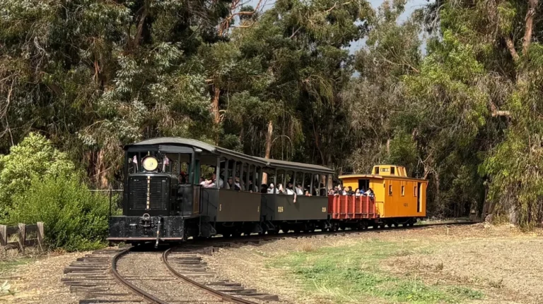 RMAA 768x431