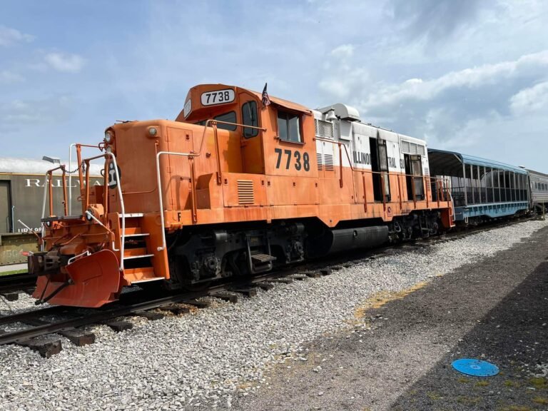 BRRM 768x576