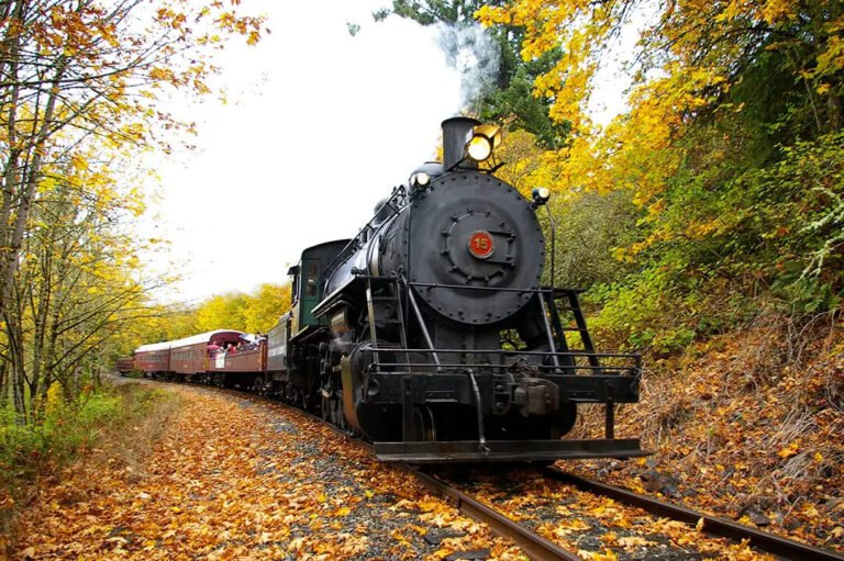 Chehalis Centralia Railroad Museum Steam Train Ride 768x511